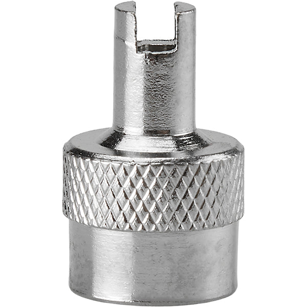 TR VC 2 Screwdriver Type Valve Cap