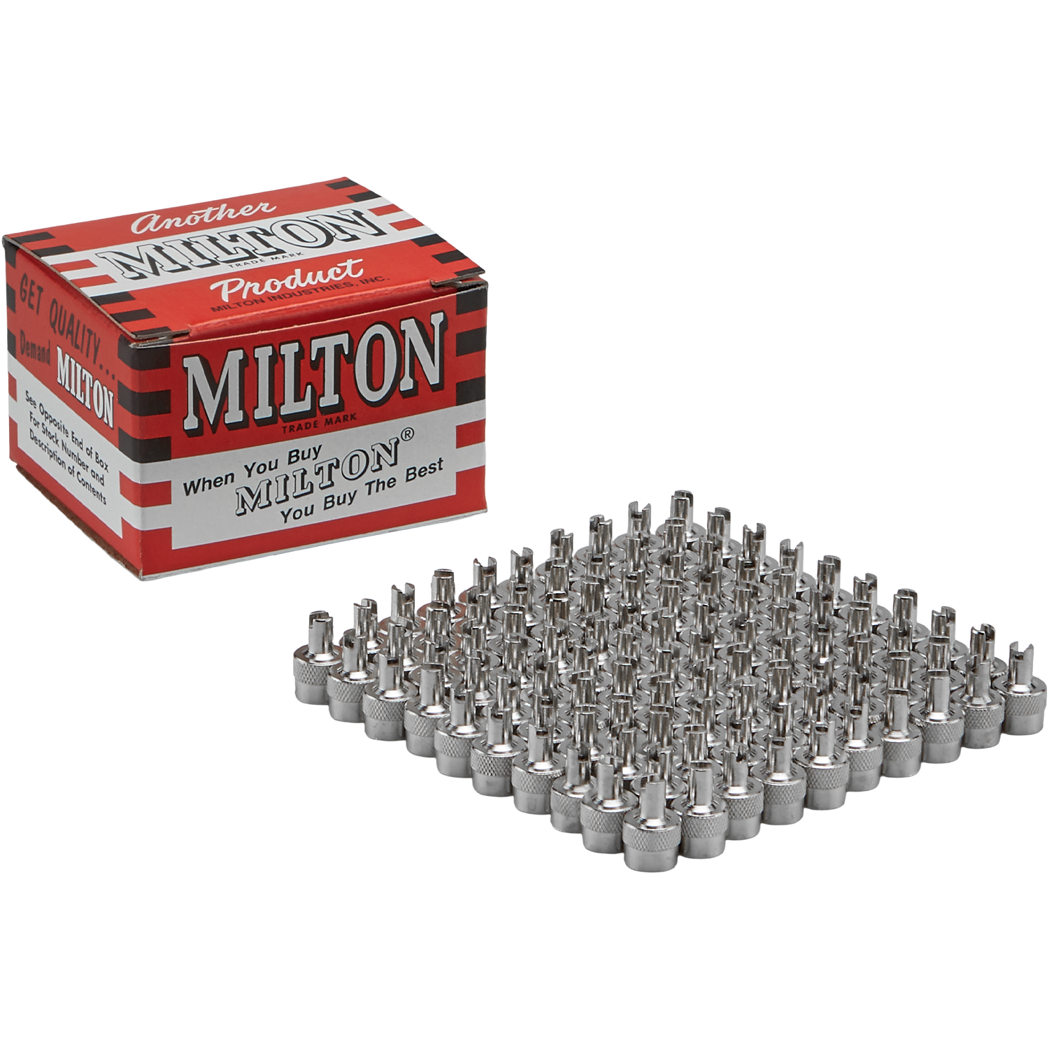 TR VC 2 Screwdriver Type Valve Cap