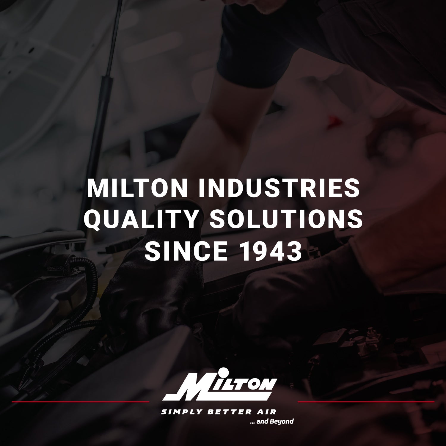 Milton® 1/4